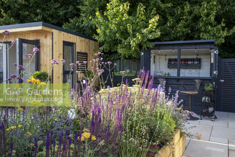 A raised timber bed on a patio with planting of Salvia nemorosa 'Caradonna', and Verbena bonariensis in front of an outdoor bar cabin and home office 
