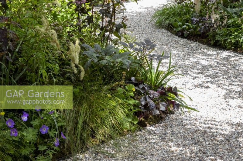 A winding curved gravel path with mixed perennial planting