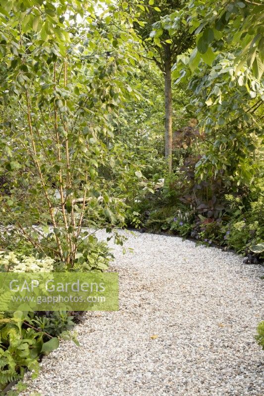 A curved gravel path with mixed perennial planting