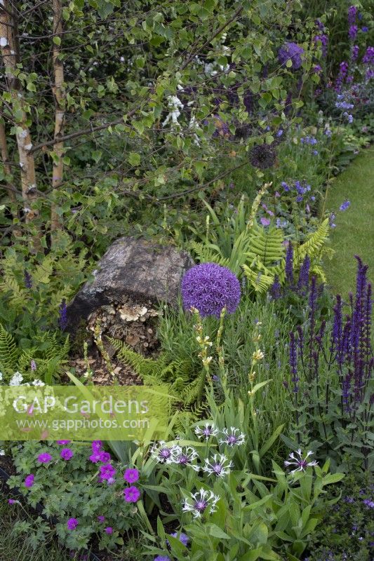 Mixed perennial planting surrounding a natural insect hotel in 'RHS Garden for Wildlife Wild Woven' - RHS Chatsworth Flower Show 2019, June