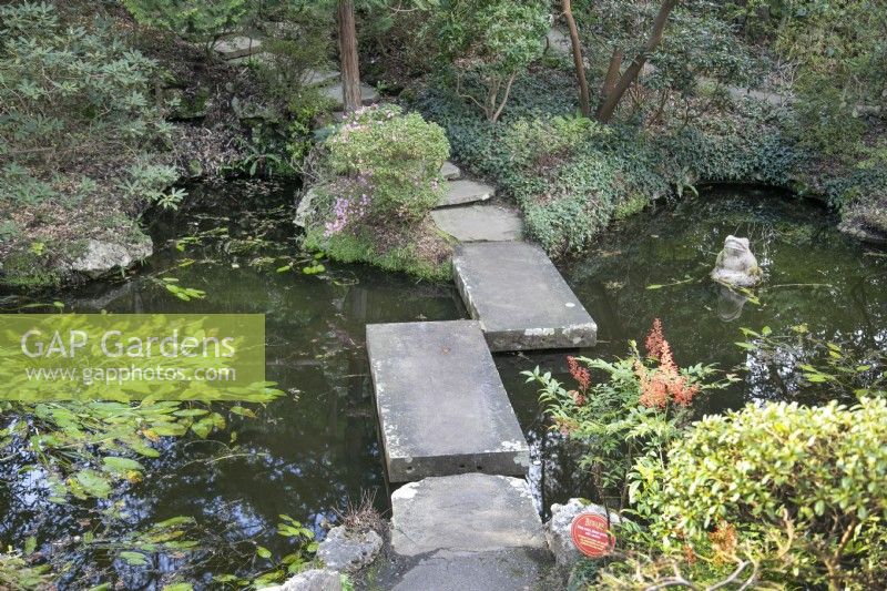 Stepping stones across the pond in The Japanese Garden at Compton Acres, Canford Cliffs, Dorset in March