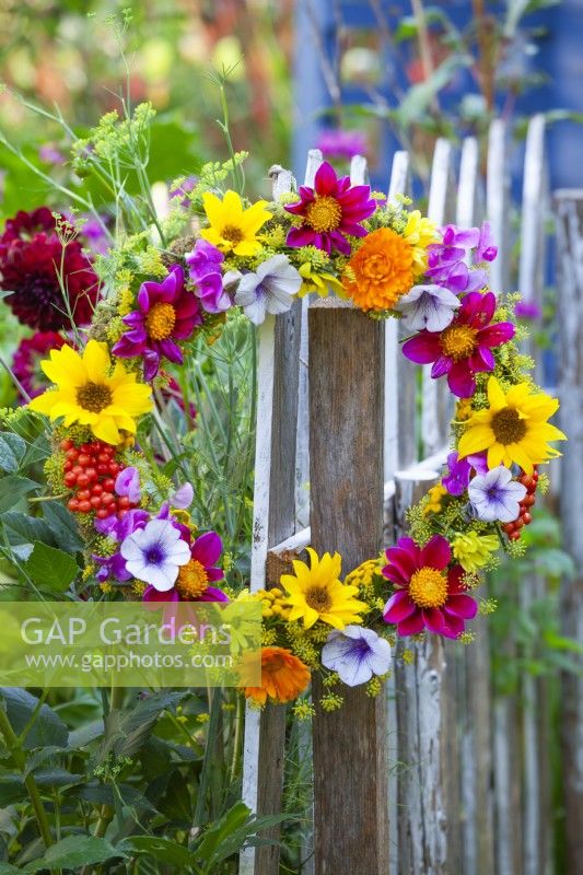 Wreath made of summer flowers and berries including Dahlia, Helianthus, Foeniculum, Calendula, Petunia, Sweet peas and Guelder rose berries hanging on a fence.