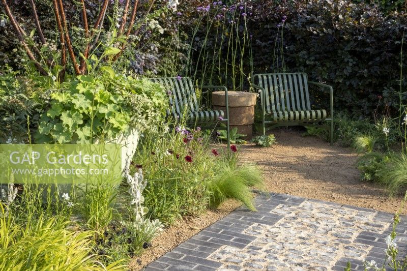 A stone flint and grey brick path leading to a gravel surface seating area, container with Multi-stemmed Prunus serrula and Alchemilla mollis and mixed perennial planting border including Cosmos atrosanguineus