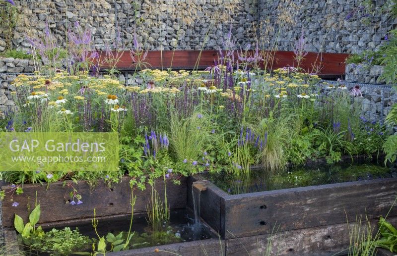 A rill and pond made from reclaimed wooden sleepers, mixed perennial planting of Echinacea purpurea 'White Swan', Achillea 'Terracotta' and ornamental grasses 