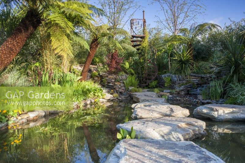Pond with large stone boulders as stepping stones leading to a rusty spiral staircase viewing platform, marginal planting and Dicksonia antarctica tree ferns 