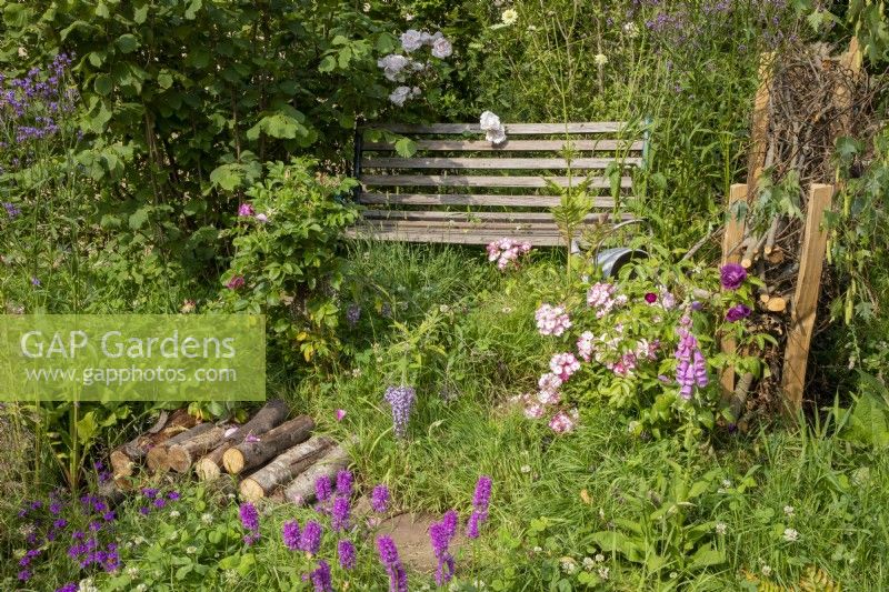 Rosa rugosa 'Alba' growing above a wooden bench with mixed perennial planting including Rosa 'Ballerina', log pile as an insect habitat
