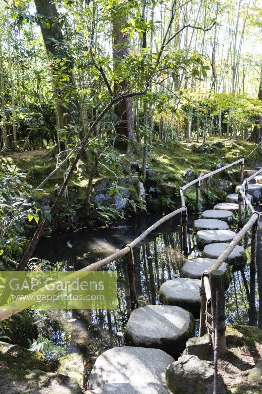 Round stone stepping stones and railing crossing one of the ponds in the garden.  Planting of Phyllostachys behind. 
