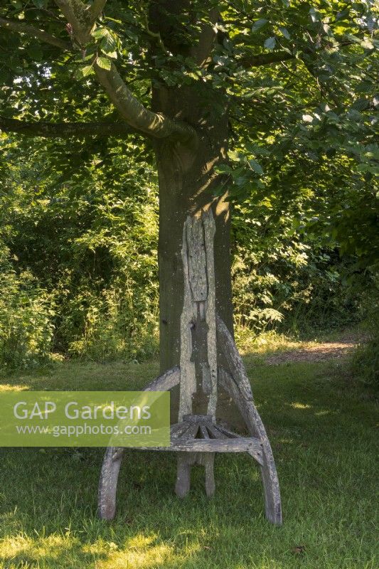 Weathered timber chair with tall back, known by the owners as the 'Lord of the Rings chair', made by a traveller craftsman, under beech tree Fagus sylvatica, in the meadow.