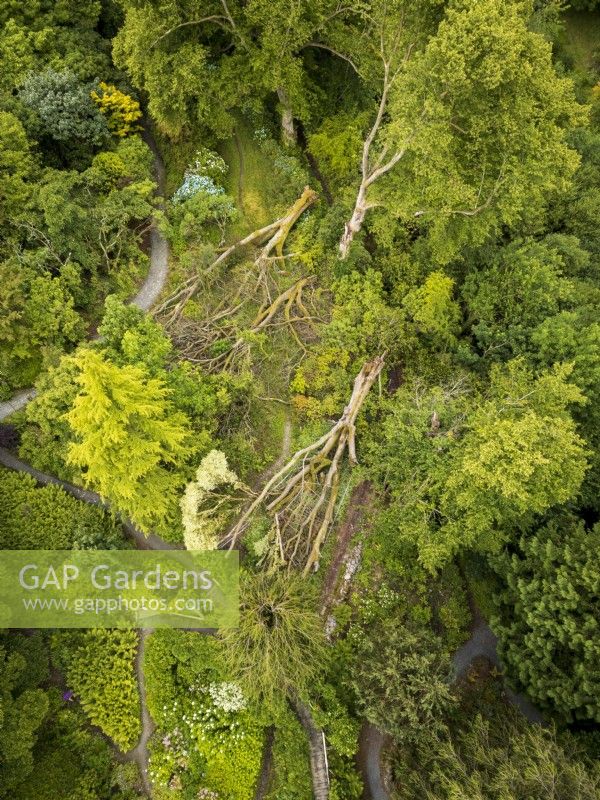 Aerial view of The Garden House in Devon showing fallen trees after heavy storm