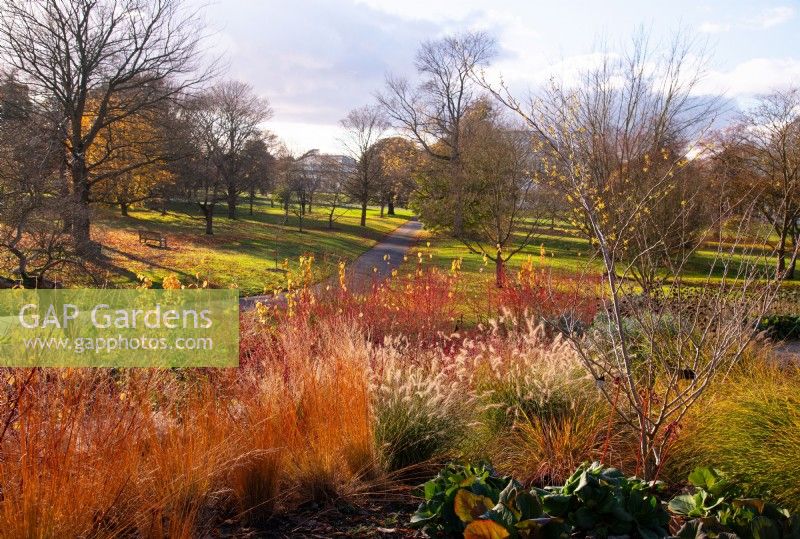 A view over hillside planting in the Winter Garden at Kew Gardens in autumn