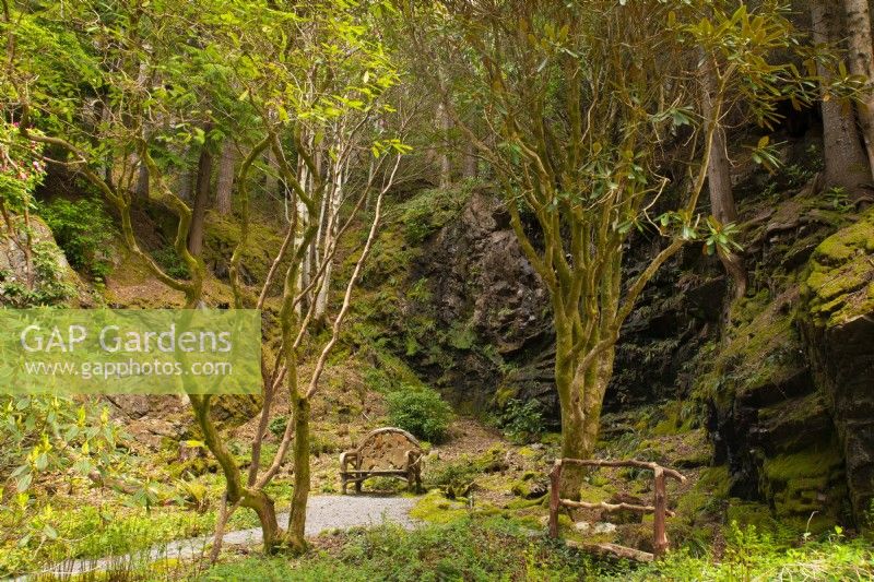 A rustic wooden chair and  bridge made from logs below a rocky cliff in the Old Wood and Rhododendron Dell.