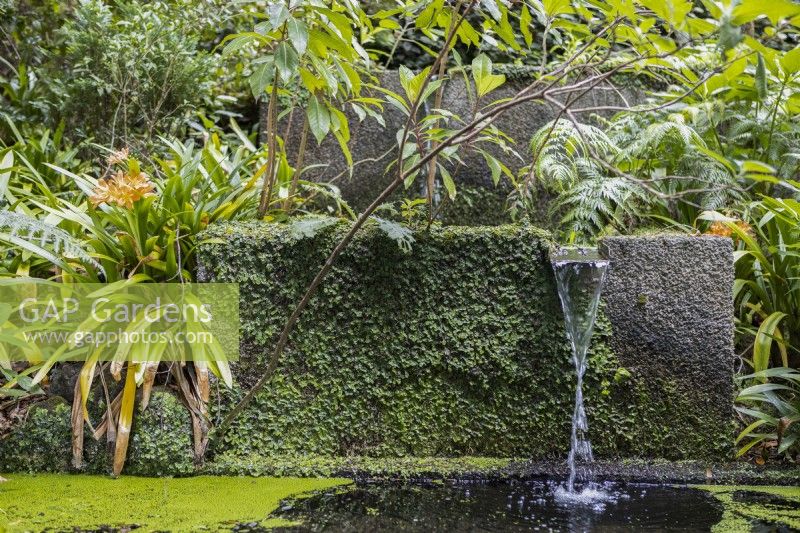 One of many water features, a rill drops water from one square water tank to another, surrounded by tropical foliage. Monte Palace Gardens, Madeira