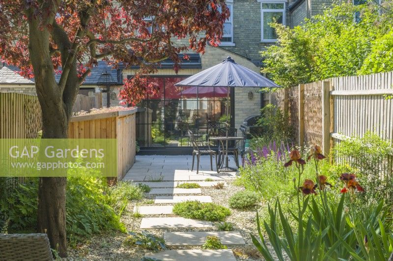 Small contemporary town garden in summer with stepping stones, stone chippings, a wide variety of plants incuding Iris 'Natchez Trace' and a mature Prunus cerasifera 'Nigra' providing dappled shade. June