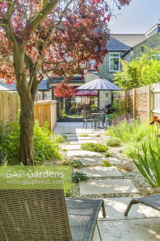 Small contemporary town garden in summer with stepping stones, stone chippings, a wide variety of plants incuding Iris 'Natchez Trace' and a mature Prunus cerasifera 'Nigra' providing dappled shade. June