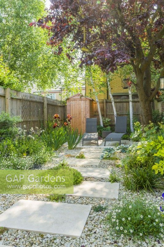 Small contemporary town garden in summer with stepping stones. Wide variety of plants including birch trees, Iris 'Natchez Trace', Libertia grandiflora, thymes, hebe and Erigeron karvinskianus 'Profusion'. June