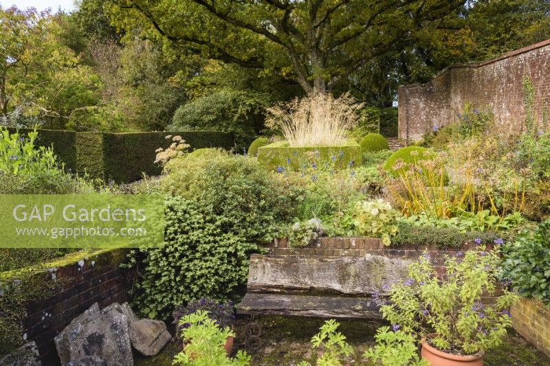 Small formal garden with clipped box and yew, a rustic bench and an old oak tree as a backdrop in October