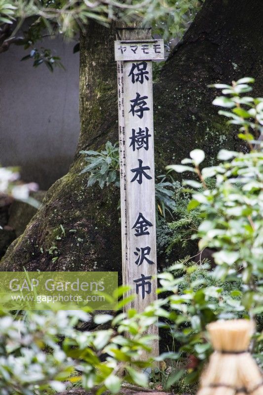 Sign in Japanese on wooden post translates as Preserved Trees, kanzawa City.