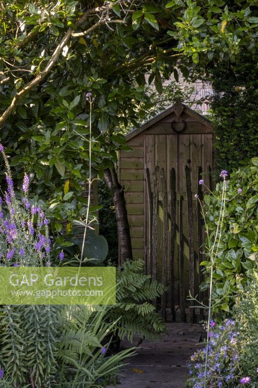 Small wooden garden shed hidden at the back of deep border