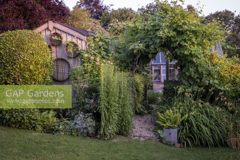 Wooden garden shed and Vine arch which leads to greenhouse in summer garden