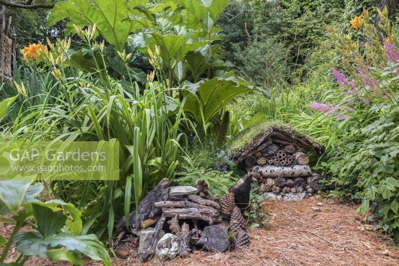 Nature friendly garden with a small insect hotel and hedgehog shelter made from cones, logs, bamboo and moss.
Plants include; Hemerocallis - daylily,  Gunnera manicata - Giant rhubarb and Astilbe