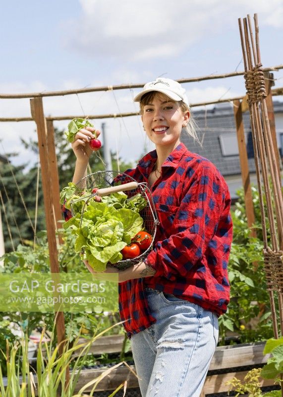 Young woman holding a wire trug of radish, lettuce and tomatoes in urban vegetable garden, summer August