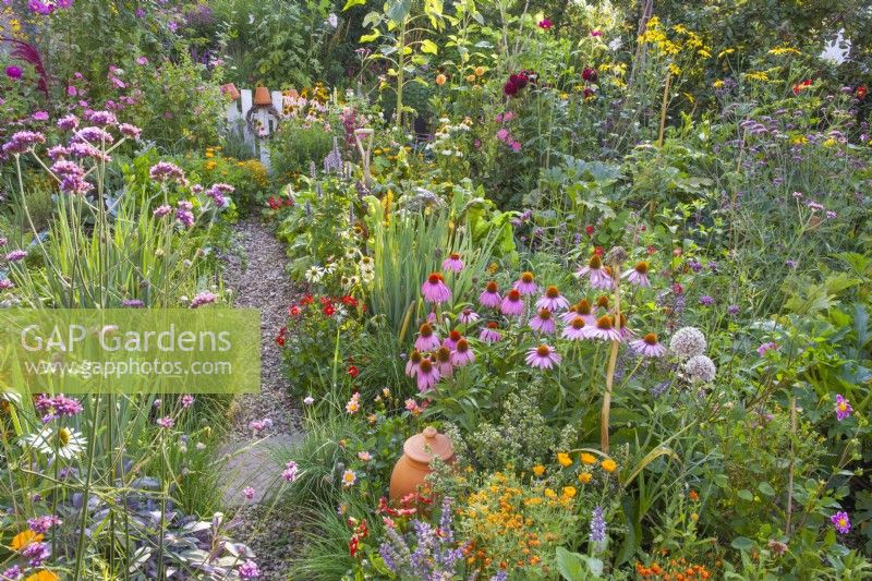 Edible garden combined with annual and perennial flowers including Echinacea purpurea, Verbena bonariensis, Dahlia, Calendula officinalis, Tagetes tenuifolia and others with a path to the garden gate.