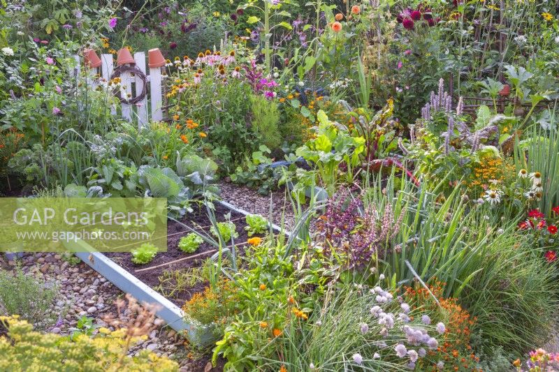 A kitchen garden with raised beds full of growing vegetables, and along the edge and around the beds are planted many annuals, perennials and herbs to attract beneficial wildlife.