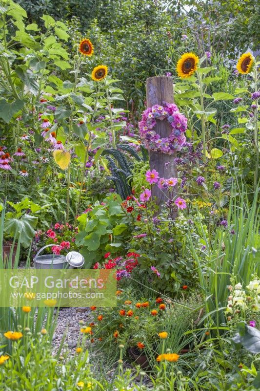 Many flowers included in the kitchen garden to attract beneficial wildlife include Sunflowers, Dahlias, Tagetes patula, calendula officinalis and Verbena bonariensis. Hanging wreath on wooden stand made of Hydrangea and summer flowers.
