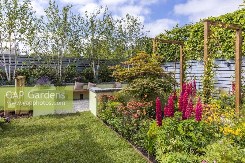 Small garden with a colourful perennial bed, lawn, relaxation area and kid's area. The perennial bed includes Lupinus 'Red Rum' and Acer palmatum`Osakazuki'. June Designer: Colm Carty, Bord Bia Bloom 2023 