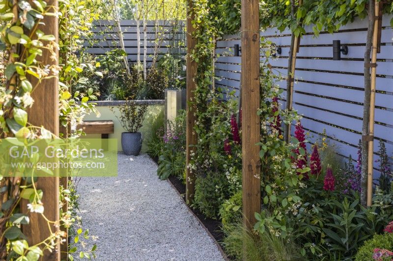A gravel granite path between flower beds planted with Lupinus 'Red Rum' and Trachelospermum jasminoides - Star jasmine on a wooden pergola. Designer: Colm Carty Bord Bia Bloom 2023