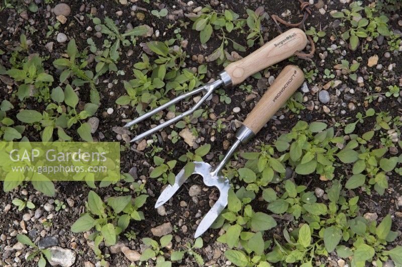 Garden prongs and Weeding fork
