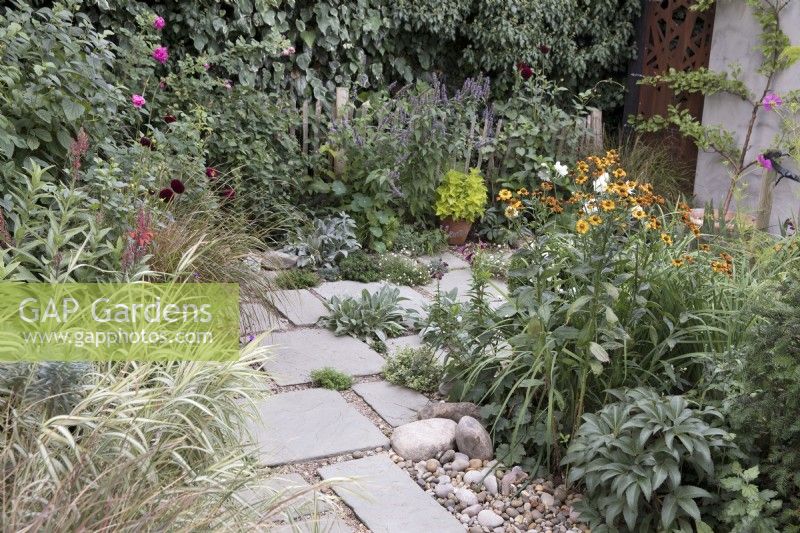 Stone patio area in contemporary garden with Helenium 'Waltraut'
and Espalier apple tree 'Cox's Orange Pippin'
