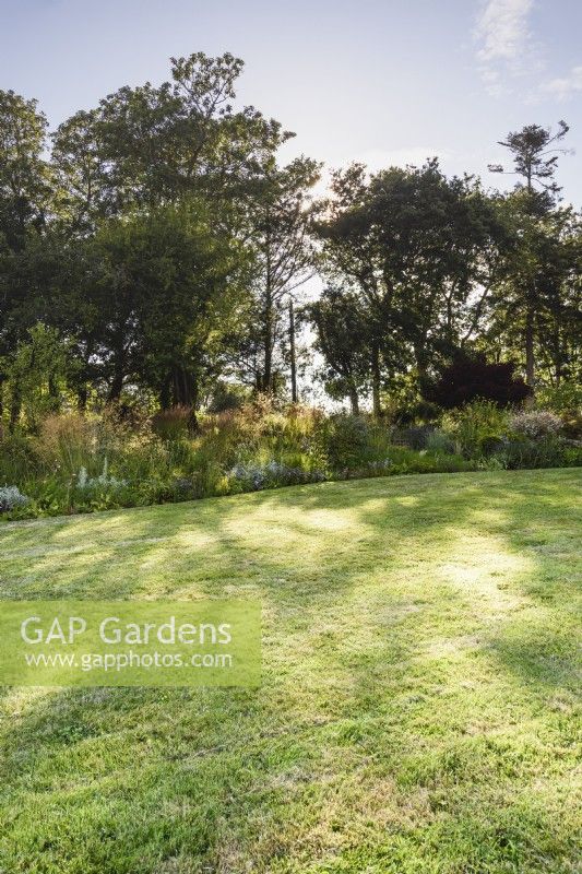 Dappled sunlight on a lawn in a country garden in July