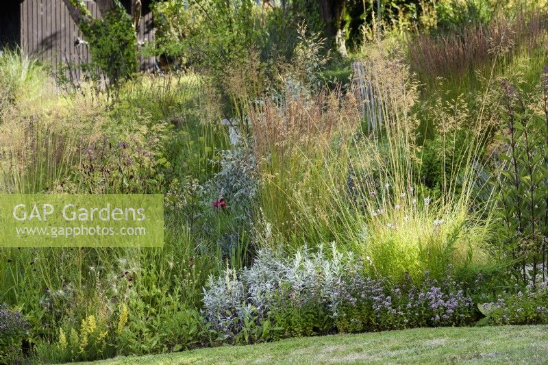 July border including Stipa gigantea, silvery Artemisia ludoviciana 'Valerie Finnis' amd other herbaceous perennials.
