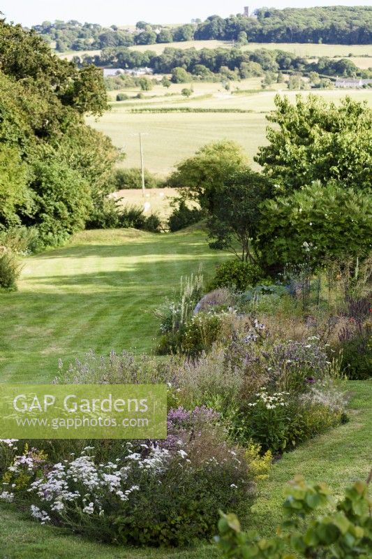 View across borders of herbaceous perennials towards the surrounding landscape in a country garden in July