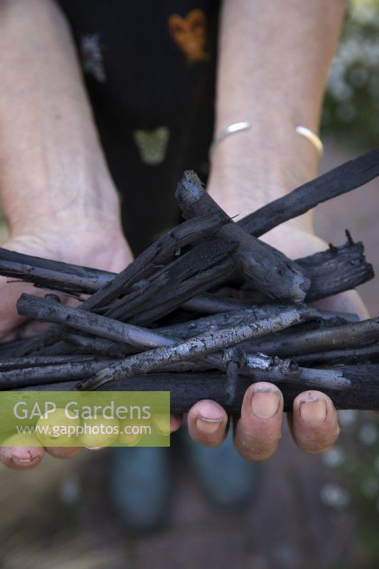 Traditional method of making charcoal from black alder