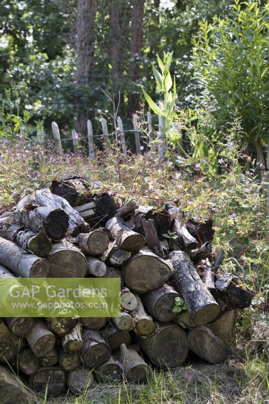 Natural wood pile in woodland garden