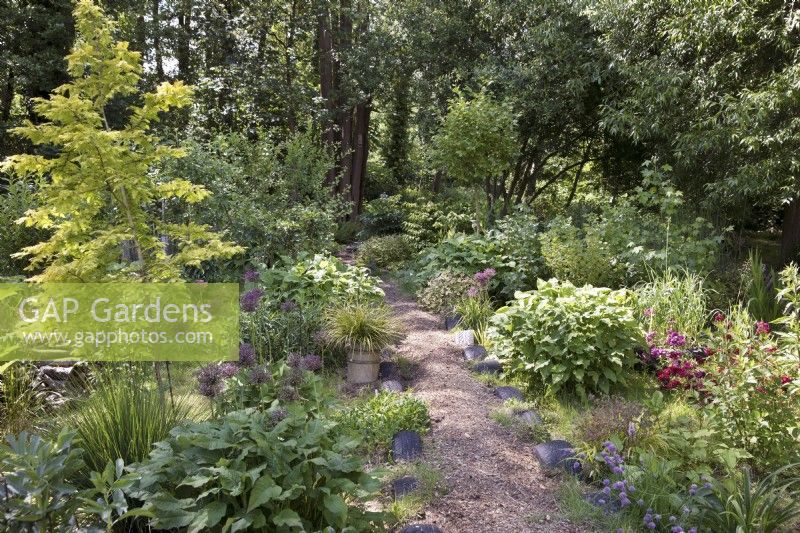 Pathway through naturalistic woodland garden