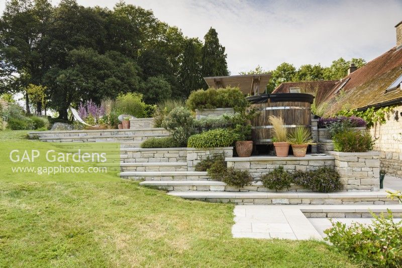 Terraces of Purbeck stone with steps and raised beds planted with shrubby evergreens in July