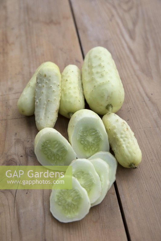 Cucumber 'Boothbys Blond'
