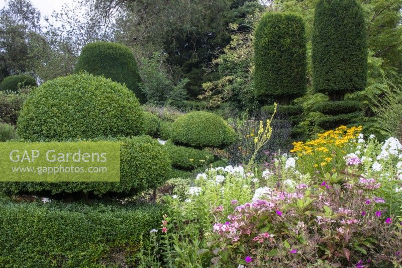 Box and yew topiary makes a striking feature in The Flower Garden at The Manor, Little Compton.