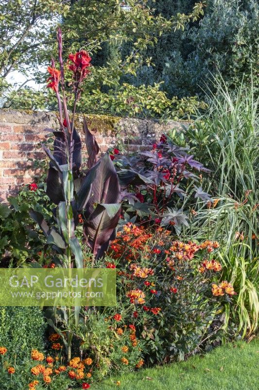 A hot themed border in the swimming pool garden at The Manor, Little Compton.