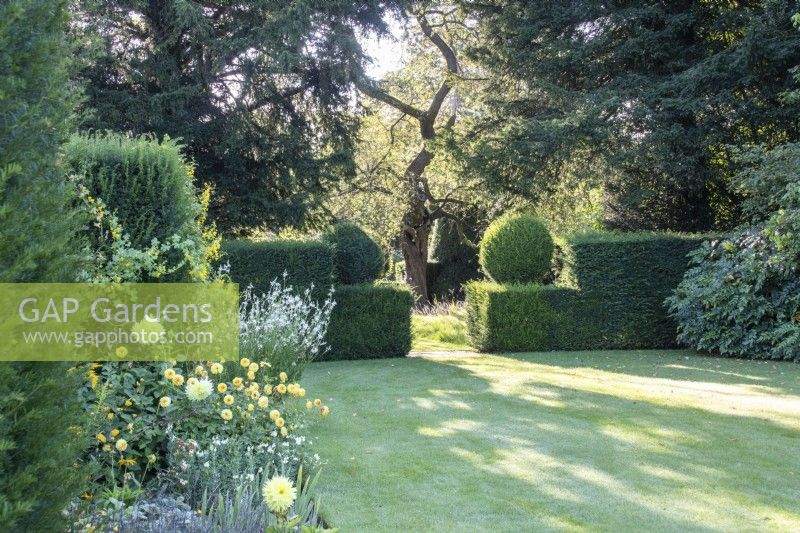 A view from The Palette borders across lawn towards a clipped yew hedge.