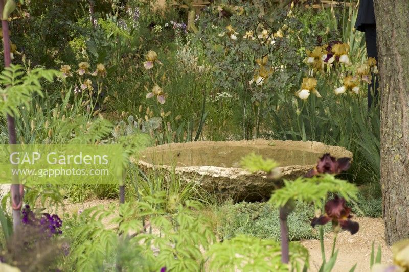 RHS Chelsea Flower Show 2023 - Water feature in The Nurture Landscapes Garden designed by Sarah Price