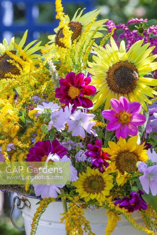 Bouquet of summer flowers including Dahlia, Sunflowers, Amaranthus caudatus, Solidago, Agastache and Malva.