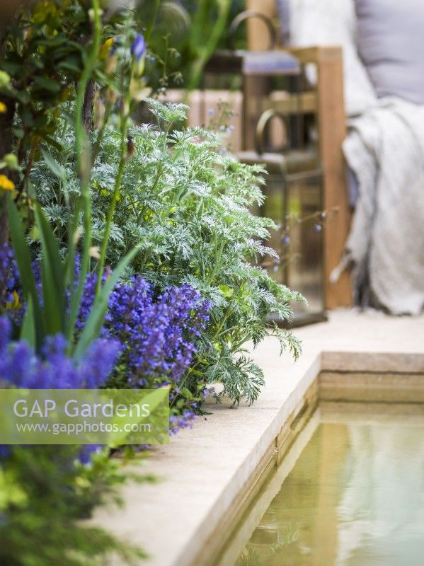 Artemisia 'Powis Castle' by water feature. Hamptons Mediterranean Garden, Designer: Filippo Dester Garden Club London, RHS Chelsea Flower Show 2023