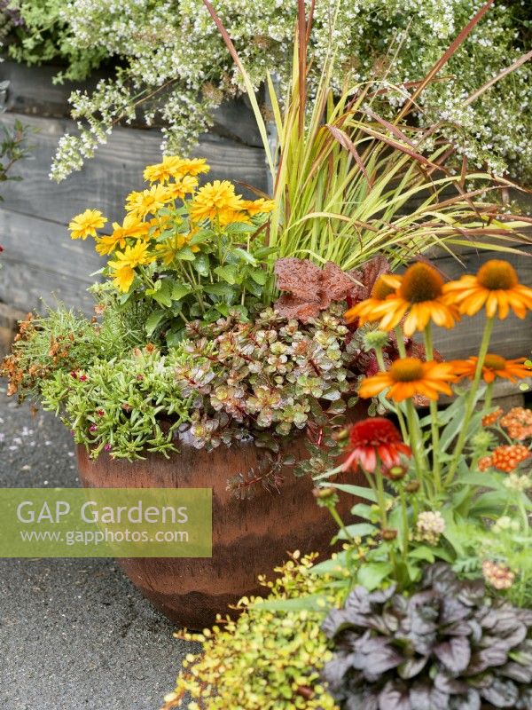 Fall planting in plant container, autumn October