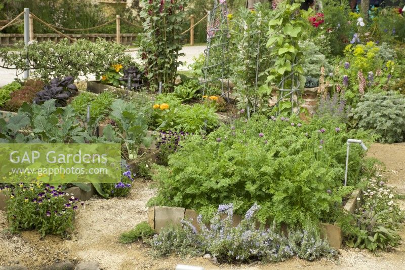 RHS Chelsea Flower Show 2023 - Herb beds - The Savills Garden designed by Mark Gregory - Silver Gilt