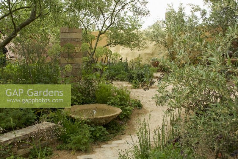 RHS Chelsea Flower Show 2023  - Pathway through mixed borders - The Nurture Landscapes  Garden designed by Sarah Price Gold