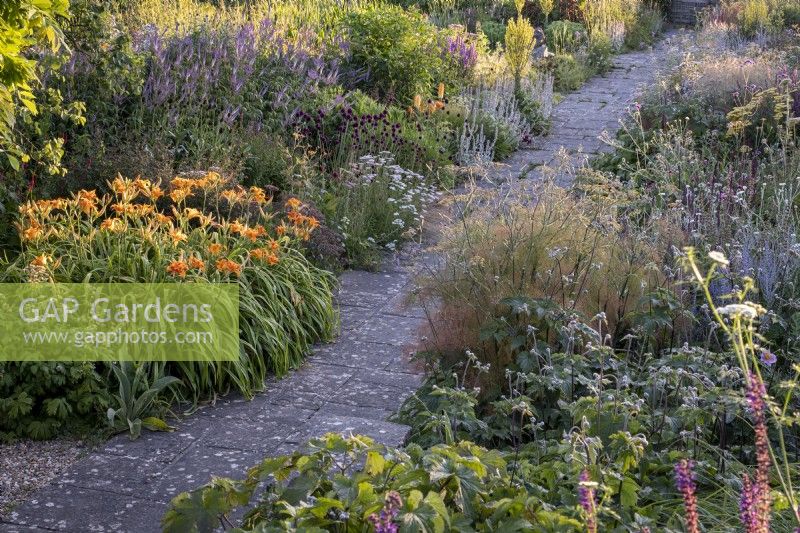 Paved path leads through a deep summery border with Allium sphaerocephalon, Fennel, Veronicastrum and Verbascum olympicum